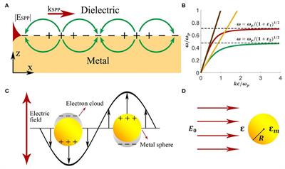 One-Dimensional Plasmonic Sensors